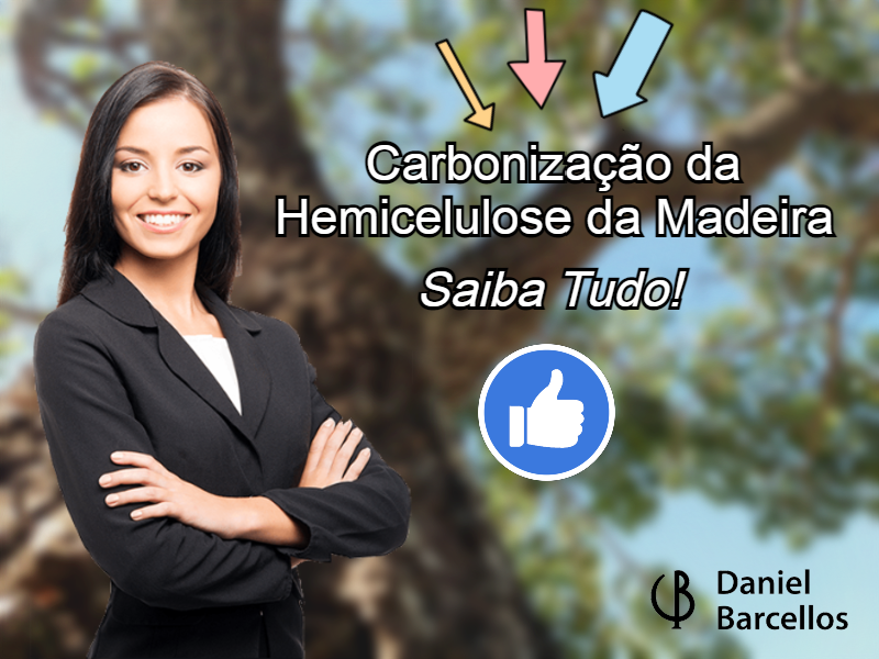 Carbonização da Hemicelulose da Madeira
