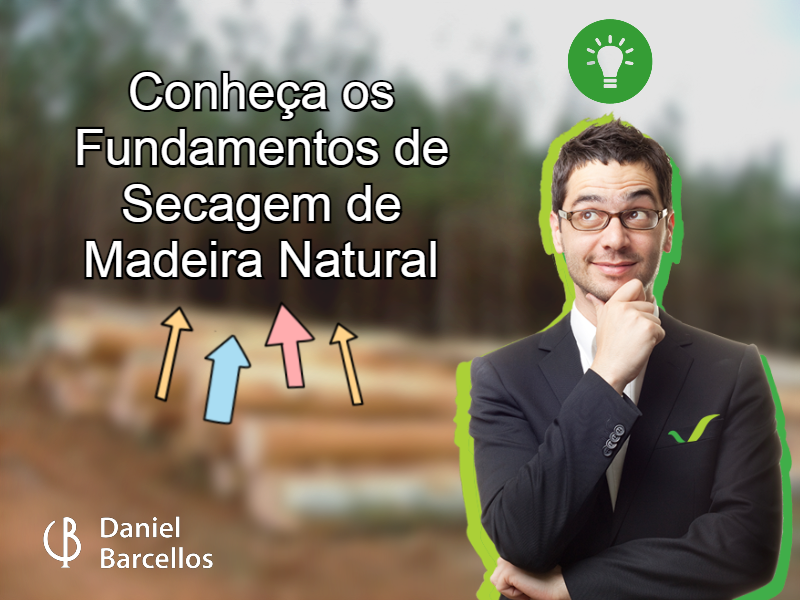 Conheça os Fundamentos de Secagem de Madeira Natural