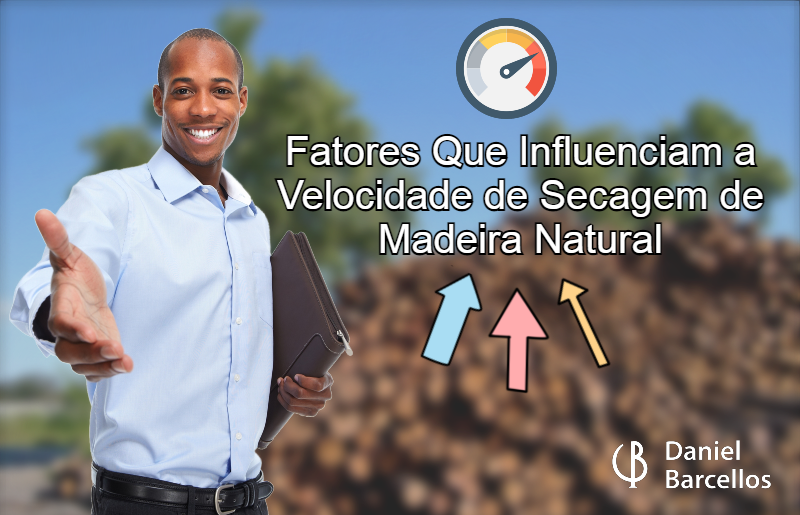 Fatores Que Influenciam a Velocidade de Secagem de Madeira Natural